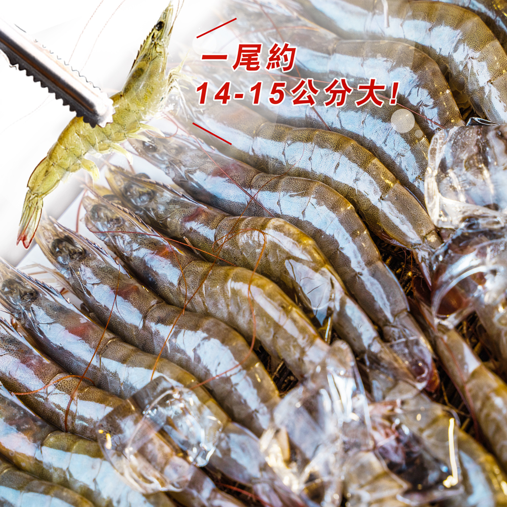 活鮮急凍 巨特級大白蝦<1.15公斤±10％>
