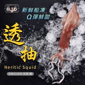 狂吃-產地直送，新鮮透抽